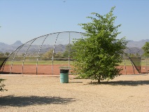 Island Ball Fields