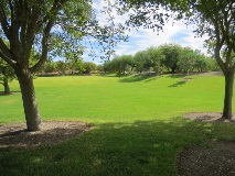 Rotary Park Bowl