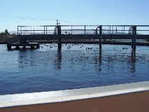 Aeration Basin